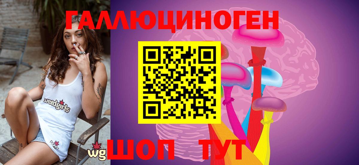 Владимир  Псилоцибиновые грибы прущие грибы  Вход с VPN 